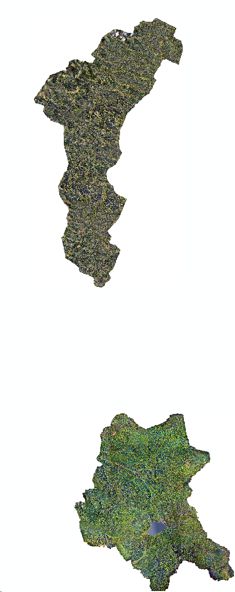 image5.png
